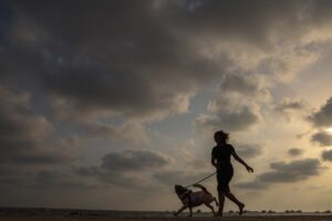 Emergencia en India por lluvias: 14 muertos y decenas de heridos en el oeste