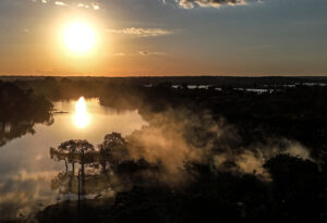 Amazonía brasileña reporta su menor tasa de deforestación en los últimos seis años
