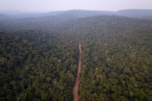 Amazonía brasileña sufre fuerte repunte de deforestación: sube 92 % en mayo