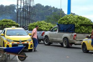 Trabajadores bananeros protestan mientras entra en vigor nueva ley en Panamá