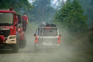 Crisis ambiental en Siria: los vientos avivan incendios en zonas boscosas del norte